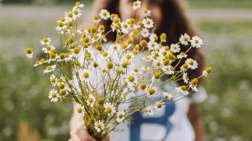 lentillas y alergia consejos prácticos en primavera / ÓPTICA Alamedilla, tu óptica de confianza en Salamanca